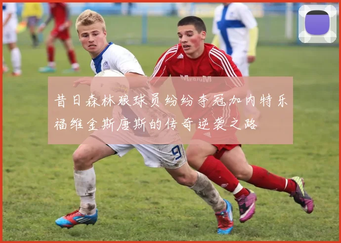 昔日森林狼球员纷纷夺冠加内特乐福维金斯唐斯的传奇逆袭之路