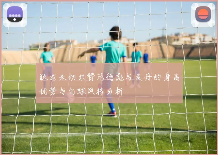 狄龙米切尔赞范德彪与麦丹的身高优势与打球风格分析